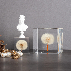 קישוט שולחן עבודה משובץ אקריליק בצורת שן הארי, קישוט לבית, דגימת פרח מיובש, מתנה מיוחדת - Product Image 3