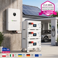 Batterie LiFePO4 51,2 V 300 Ah 15,36 kWh avec BMS intelligent pour rack de serveur, batterie de stockage à cycle profond au phosphate de fer et de lithium pour systèmes solaires ESS
