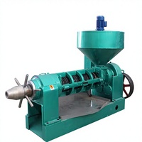Presse à huile automatique à vis pour palmiste, arachide, soja, sésame, colza et olive, fournie par l'usine, capacité 300 kg/h