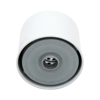 Pièces automobiles de haute qualité Filtres à carburant automobiles pour RENAULT TRUCKS Midliner 1982-2000 26561117 26560171 26560172