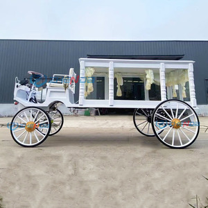 Zhenda Factory Outlet White Special Transportation Funeral Hearse Vehicle Coffin Car Luxury Funeral Limousine Classic Hearse - Product Image 1