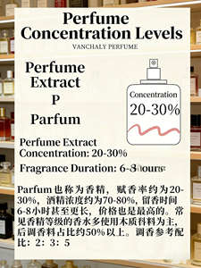 Perfume Corporal en Spray Mini de 100 ml al por Mayor para Mujer, Fragancia Duradera de Jazmín, Ecológico, para Uso Diario, Eau de <span class=keywords><strong>Parfum</strong></span> - Product Image 6