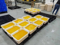 Nieuwe industriële automatische roestvrijstalen mango schil-, kern-, sap- en pulpverwerkingslijn
