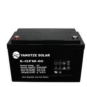 Zonne Hoge Kwaliteit Yangtze solar ups deep cycle batterij ups 12 v 55ah raket batterij