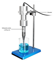 Agitateur à ultrasons, Disperseur, Mélangeur de nanoémulsions, Réacteur, Sonicateur, Homogénéisateur, Automatique, Capacité 3L, Portable