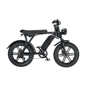 Bicicleta de Montaña V8 con Motor Trasero, 3 Velocidades, Cuadro de Acero, Ruedas de 20 Pulgadas, Frenos de Disco, 50-60 Nm de Torque, Alcance de 50 km, Eléctrica para Adultos - Product Image 2
