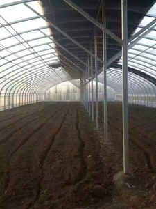 Invernadero Comercial de Alta Resistencia Skyplant, Película de PE, Estructura Multi-Span, Resistente al Viento, Personalizable para Vegetales - Product Image 6