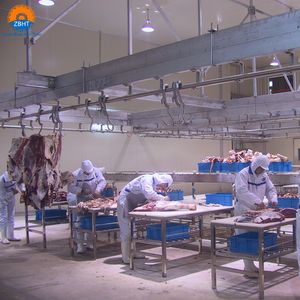 Maquinaria <span class=keywords><strong>para</strong></span> Mataderos de <span class=keywords><strong>Ganado</strong></span> <span class=keywords><strong>Bovino</strong></span> ZBHT, Equipo Completo de Procesamiento de <span class=keywords><strong>Carne</strong></span> Halal <span class=keywords><strong>para</strong></span> Plantas de Procesamiento de <span class=keywords><strong>Carne</strong></span>, Proveedor Chino - Product Image 6