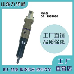 Inyector de Combustible 1974030 para Camión DAF de Plataforma, Pieza Original - Product Image 4