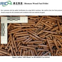 RICHI-máquina de fabricación de Pellet de madera, serrín, carbón, polvo, 6/8/10/12mm, gran oferta