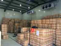 Stockage pièces froides pour les fleurs, les fruits et les légumes