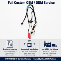 Harness Kabel Otomotif 12V 24V Kustom Tegangan Rendah Produsen OEM IATF16949 RoHS Langsung dari Pabrik