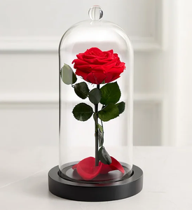 Meilleur cadeau pour <span class=keywords><strong>la</strong></span> Saint-Valentin, <span class=keywords><strong>rose</strong></span> enchantée de <span class=keywords><strong>La</strong></span> <span class=keywords><strong>Belle</strong></span> <span class=keywords><strong>et</strong></span> <span class=keywords><strong>la</strong></span> Bête, <span class=keywords><strong>rose</strong></span> véritable préservée dans de <span class=keywords><strong>la</strong></span> glycérine, longue durée, 3-5 ans, cloche <span class=keywords><strong>en</strong></span> <span class=keywords><strong>verre</strong></span> - Product Image 5