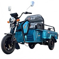 Pas cher 48V/60V 500W Bleu Petit 1.2m Tricycles électriques ouverts avec siège arrière pour le fret et les passagers