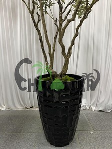 Fait à la main 120cm/180cm/210cm/2m/3m écologique PE PVC matériel d'<span class=keywords><strong>olivier</strong></span> artificiel décoration de bureau utilisation extérieure <span class=keywords><strong>olivier</strong></span> - Product Image 5