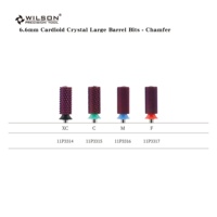 6.60mm cardioïde cristal grand baril Bits-chanfrein prune revêtement manucure et pédicure carbure de tungstène électrique ongles forets OEM