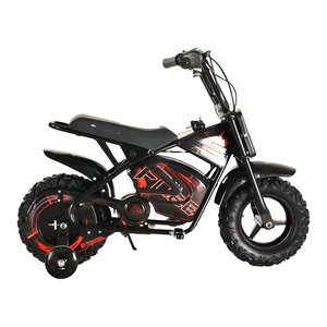 Moteur à balais 250DH 500W de bonne qualité, batterie au plomb-acide 36V 12Ah, moteur de piste 500W/800W/1000W, batterie 36V12AH L - Product Image 3