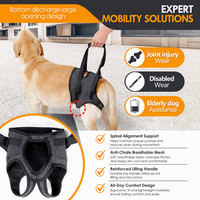 Harnais de levage pour chien de qualité médicale, soutien de la colonne vertébrale pour animaux de compagnie seniors, en maille respirante, polyester durable, toutes saisons, écharpe dorsale OEM