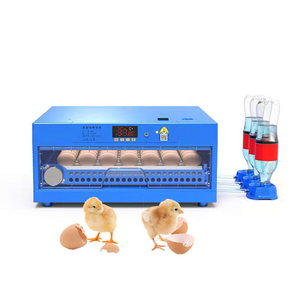 Geshifeng Trung Quốc Các Nhà Sản Xuất 110V 220V Hoàn toàn Tự Động Điện Vịt Gà Trứng Máy Ấp Trứng 256 Lồng Ấp - Product Image 2