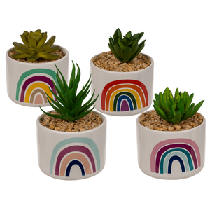 Décoration Succulente en pot, Arc-en-ciel, - Product Image 1