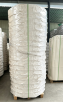Rollos de Papel para Impresión de Cartón de Fabricantes de Papel para Uso en Café y Bebidas, Rollos de Papel de Materia Prima con Recubrimiento de PE/PLA