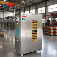 Industriële voedseldroger met een capaciteit van 100 kg voor het drogen van chili, mango en fruit