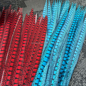 Plumas Artificiales de Faisán para Decoración y Disfraces de Carnaval - Product Image 5