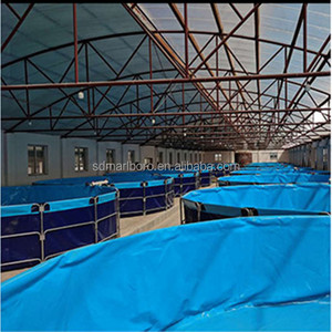 SDM bâche automatique mangeoire à poissons étang en plastique pvc pisciculture réservoir étang 8000L étang à poissons - Product Image 6