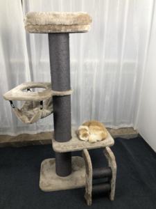 Longnew पालतू नए Katzenbaum बिल्ली पेड़ बड़े बिल्ली ट्री टॉवर झूला बिस्तर - Product Image 4