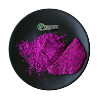 Poudre de fruit du dragon lyophilisée, poudre de pitaya naturelle, fournisseur en gros, poudre de jus de fruit du dragon rouge pour boissons, smoothies et pâtisseries