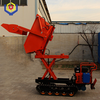 Taishan Niu Mini-Raupenbagger mit Dieselmotor, 500kg Kipplader, Frontlader, Getriebe, Motor, Hydraulikpumpe, niedriger Betriebsstundenzähler