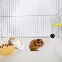 Cage de transport portable respirante en fer pour petits animaux (hamster nain, chinchilla) avec bouteille d'eau et bol à nourriture