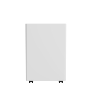 Mini déshumidificateur d'air portable silencieux pour vêtements, 10L, réutilisable, pour la maison