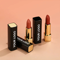 Rouge à lèvres mat minéral végétalien à haute pigmentation, longue tenue, hydratant, imperméable, logo personnalisé OEM/ODM