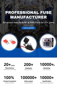 Kit <span class=keywords><strong>de</strong></span> fusibles automobiles assortis, boîte à fusibles verte Visco, boîte à relais Isuzu Ipv Link, boîte à fusibles solaires 12V Pyro, fusible Tesla X 2018, chariot élévateur Toyota - Product Image 3