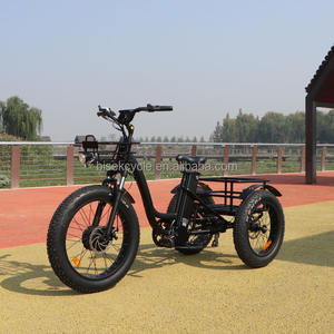<span class=keywords><strong>2023</strong></span> nouvelle production de Tricycle électrique moto 500W moteur puissance vélo <span class=keywords><strong>cargo</strong></span> électrique batterie Certification 3 roues pour adulte - Product Image 3