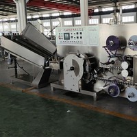 Ligne de production de sucettes plates à fonctionnement stable, équipement de moulage automatique de bonbons, certifié CE