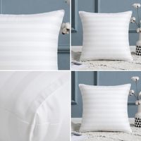 Coussin décoratif en microfibre avec rembourrage en coton pour canapé-lit, alternative au duvet, insert de coussin 20x20, lot de 2