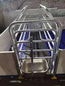 Vendita calda doppio corpo stile europeo scrofa gestazione penna maiale casse da parto penna gabbia automatica per maiali - Product Image 6