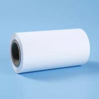 Rouleau de feuille de plastique polypropylène blanc, matériaux résistants à la chaleur, film PP pour thermoformage