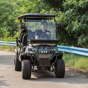BAK High-end Customized Road 5-6 Seater Sightseeing Hunting Club Car Street 5KW Lithium Battery Lifted Golf Cart - Product Image 3