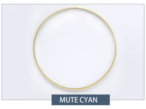 Cadre <span class=keywords><strong>photo</strong></span> en alliage d'aluminium, boîte ronde, fil métallique décoratif, <span class=keywords><strong>profil</strong></span> noir, or rose, argent - Product Image 5