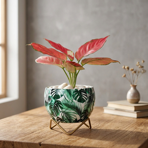 Petits pots de fleurs décoratifs pour table, senteur tropicale, pour plantes succulentes, cactus, petites plantes vertes, décoration intérieure - Product Image 3