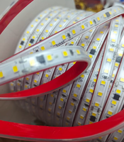 Bandes LED intelligentes 2835 220v 110v IP65 PVC 120LED 10MM de largeur 100m de longueur 3000k 4000k 6500k Bande LED flexible pour éclairage extérieur