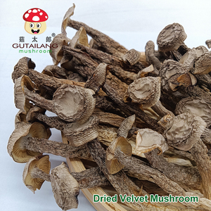 เขากวางทำจากกำมะหยี่อบแห้งเห็ดเขากวางแบบธรรมชาติ - Product Image 2