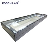 Rogenilan - Ventanas de Techo Corredizas de Aluminio con Doble Acristalamiento y Aislamiento Eléctrico Automático, Flachdachfenster
