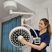Fabricant, vente en gros et au détail, lampes de théâtre à luminosité réglable, lampes LED500 pour hôpitaux, cliniques, soins aux animaux, plafonniers chirurgicaux sans ombre.