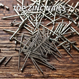 厂家价格普通圆钉镀锌铁丝钉混凝土铁钉厂家 - Product Image 4