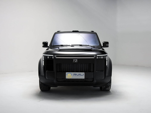 2025 auto fuoristrada di fascia alta <span class=keywords><strong>ROX</strong></span> 01 di vendita calda nuova auto con sterzo sinistro a basso prezzo dal grossista cinese pronto per il porto - Product Image 2