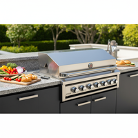 Ensemble de cuisson au gaz Salamander pour îlot de cuisine extérieur, machine de cuisine de jardin, grilles de barbecue